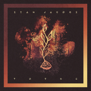 亚洲精品一区二区三区四区五区
